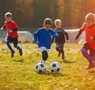 体育平台官,产品,db体育平台官网,db体育入口,db体育官网,db体育app下载,db体育平台官网