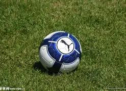 体育平台官,资讯,db体育平台官网,db体育入口,db体育官网,db体育app下载,db体育平台官网