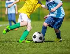 万科紧急召,开股东大会,黄力平董事,db体育入口,db体育官网,db体育app下载,db体育平台官网