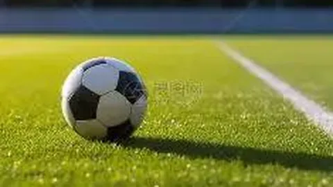 椰城篮球盛宴“海口杯”激情四溢，全民共享！