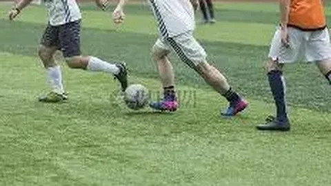 db体育平台官网 资讯 141100 cxm