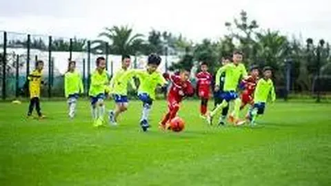 db体育平台官网 资讯 135818 xgh