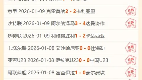“英超半程越位技术启用时间将依据足总杯周末赛事结果公布”