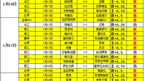 2025年临沂启航：足球青训高峰论坛盛大开幕，许基仁莅临指导，共谋足球新星未来蓝图！